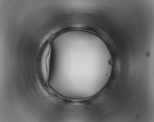 X0000115690734200912031442