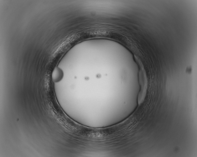 X0000115690735200912031442