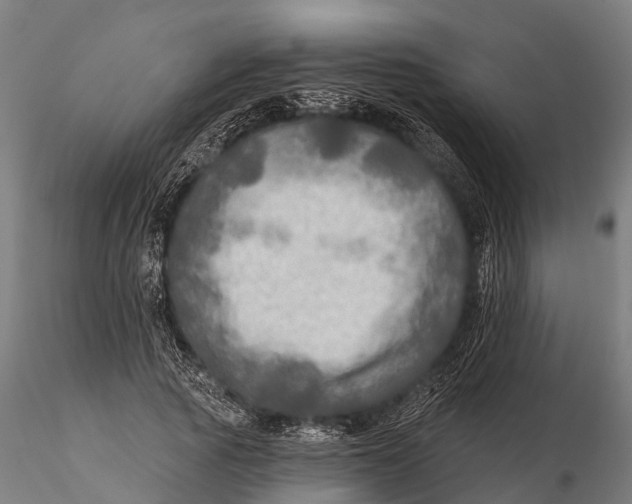 X0000115690737200912031442