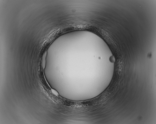 X0000115690738200912031442