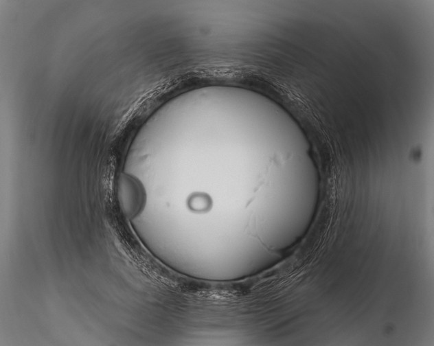 X0000115690739200912031442