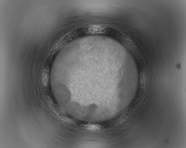 X0000115690741200912031442