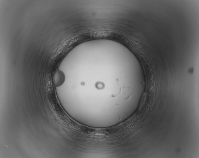 X0000115690743200912031442