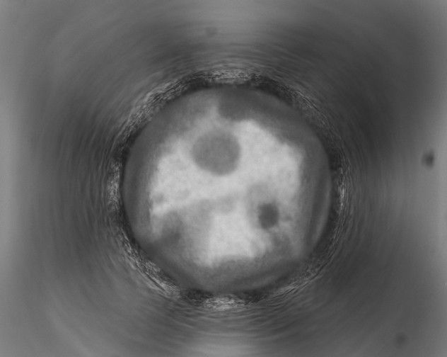 X0000115690745200912031442