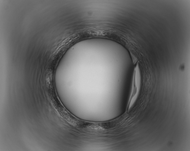 X0000115690747200912031442