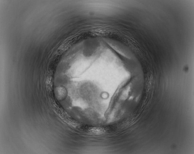 X0000115690749200912031442