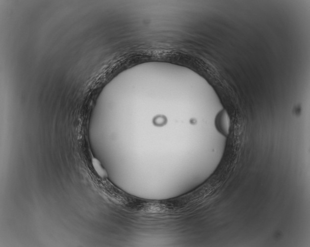 X0000115690750200912031442