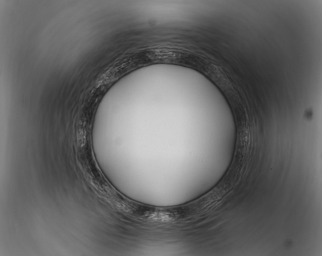 X0000115690751200912031442