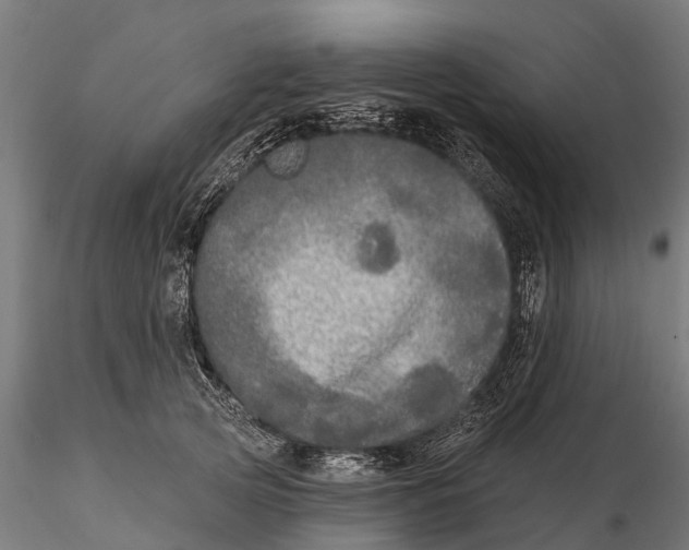 X0000115690753200912031442