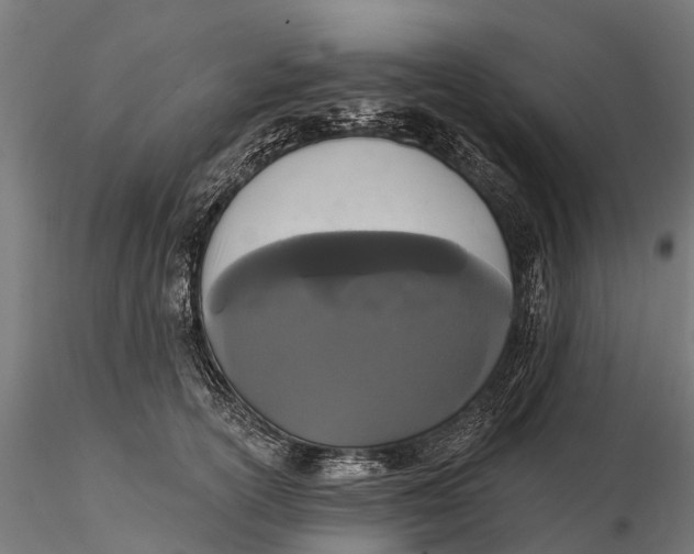 X0000115690754200912031442