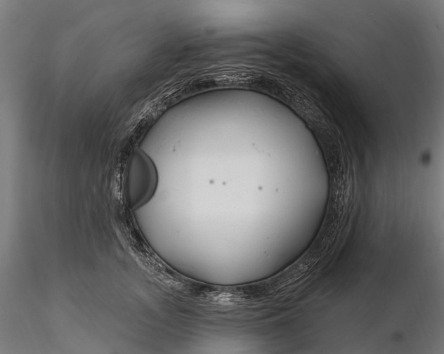 X0000115690755200912031442