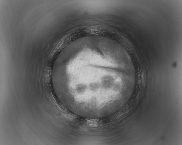 X0000115690757200912031442