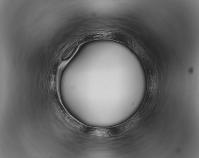 X0000115690758200912031442