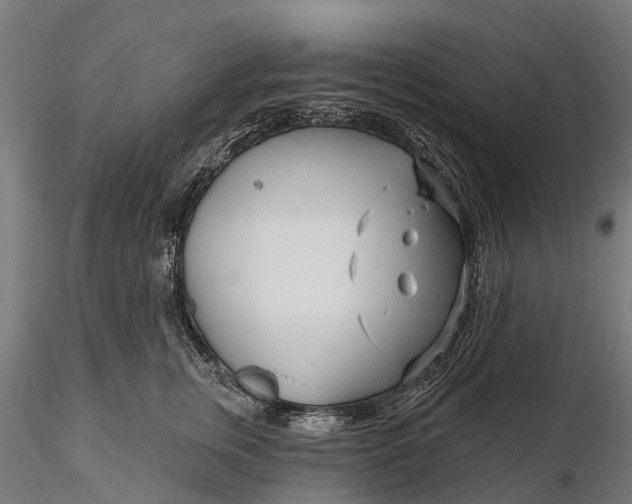 X0000115690759200912031442