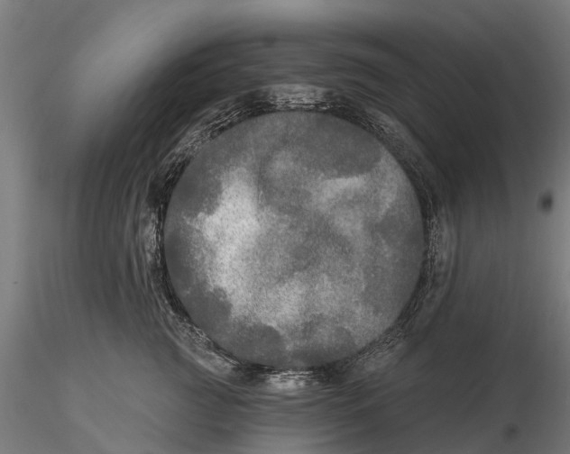 X0000115690761200912031442