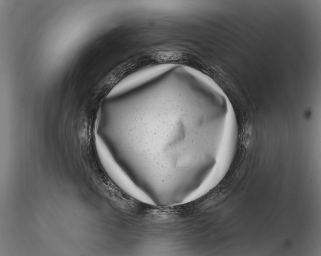 X0000115690763200912031442