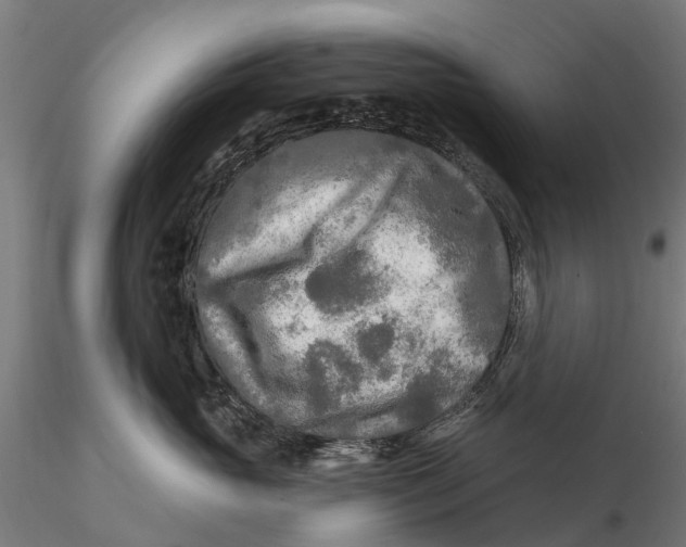 X0000115690765200912031442