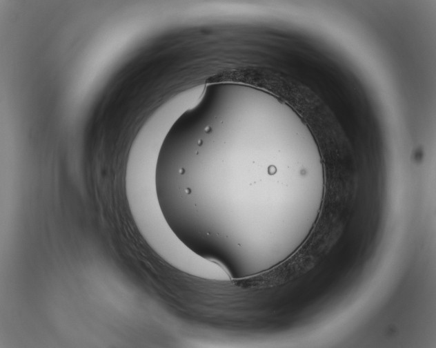 X0000115690766200912031442