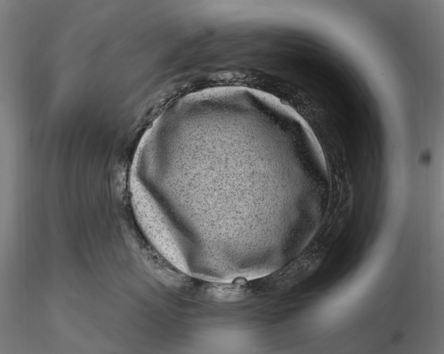 X0000115690767200912031442