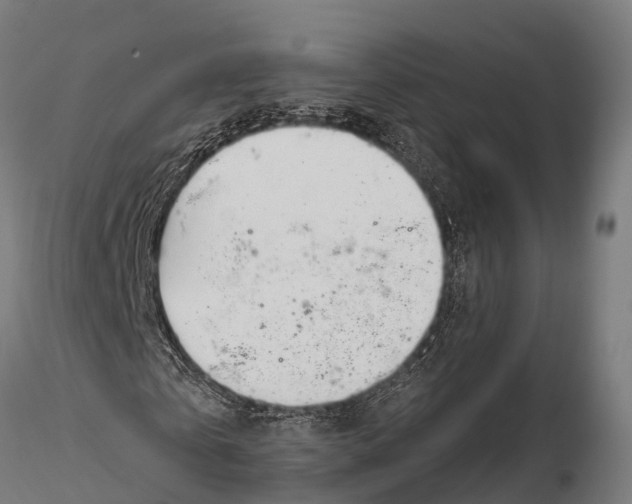 X0000115690769200912031442