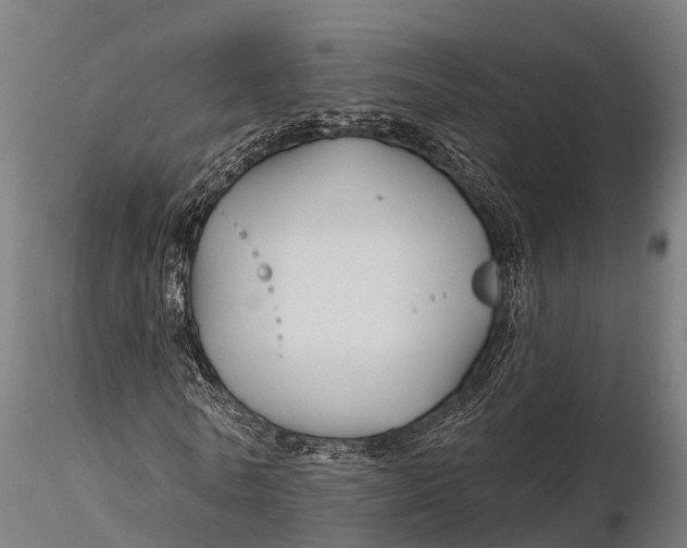 X0000115690770200912031442