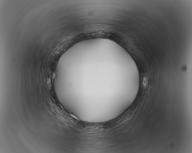 X0000115690771200912031442