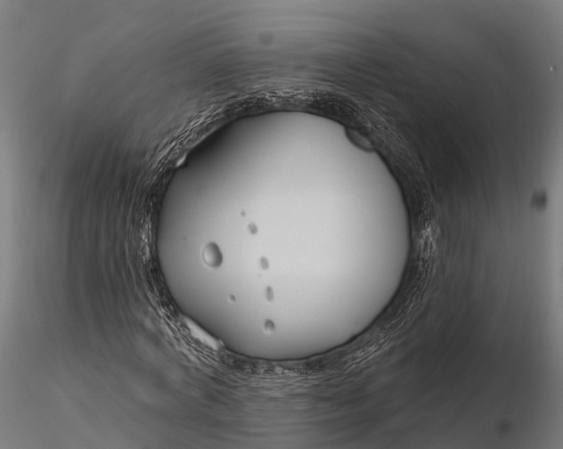 X0000115690772200912031442