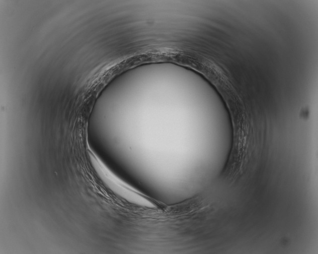 X0000115690773200912031442