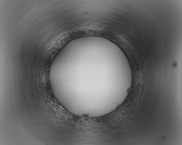 X0000115690774200912031442