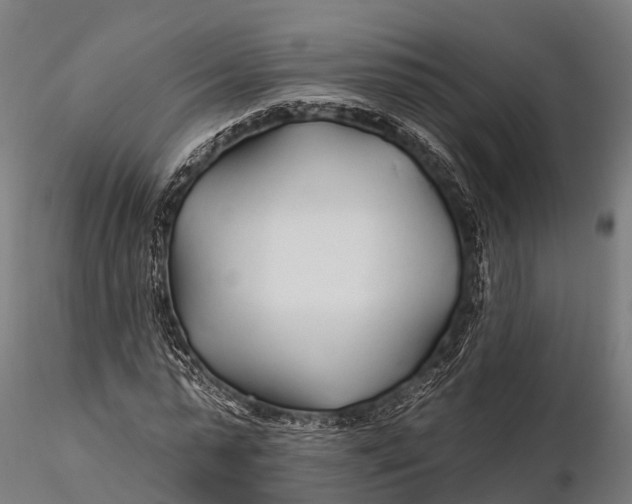 X0000115690775200912031442