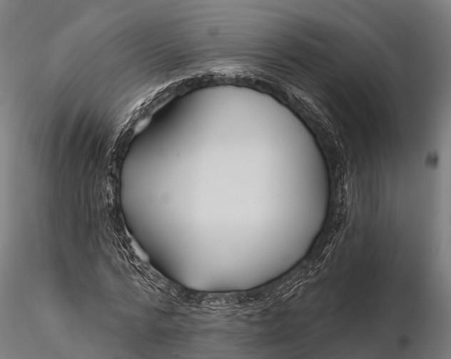 X0000115690776200912031441