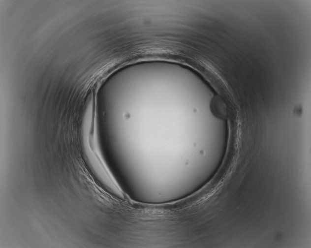 X0000115690777200912031441