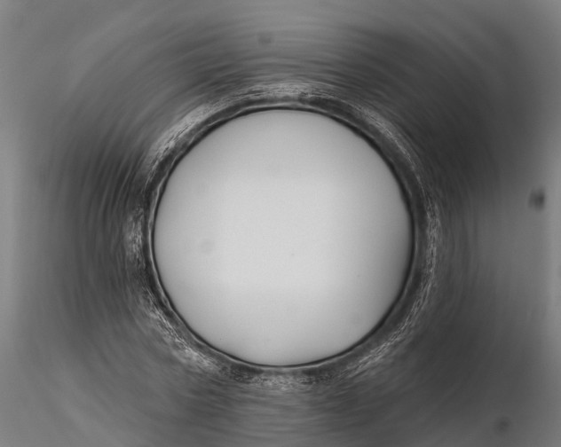 X0000115690778200912031441