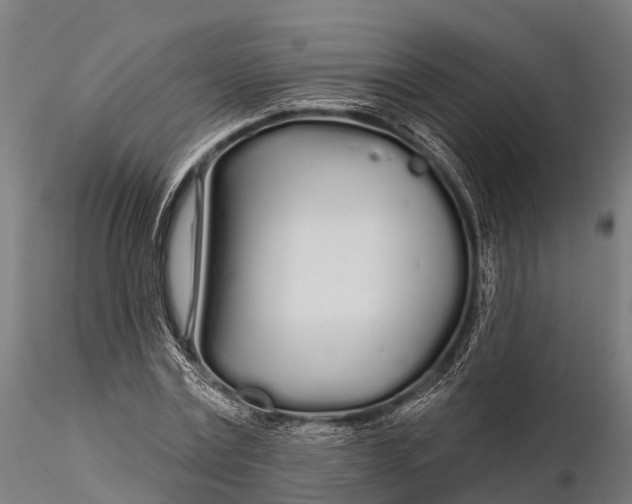 X0000115690779200912031441