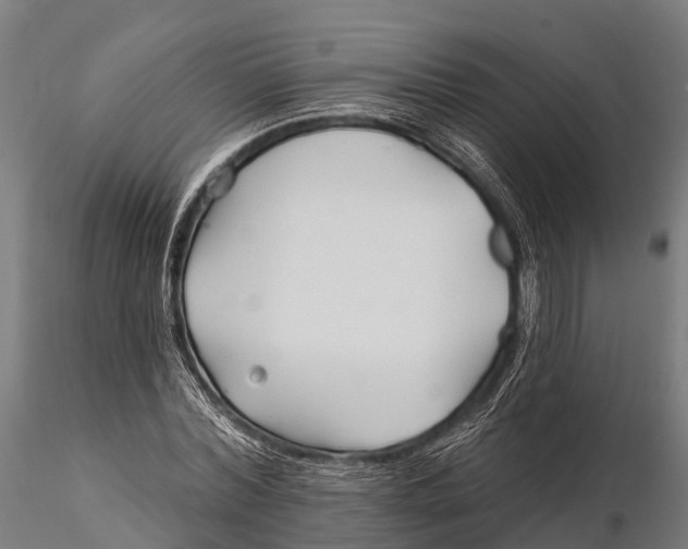 X0000115690780200912031441