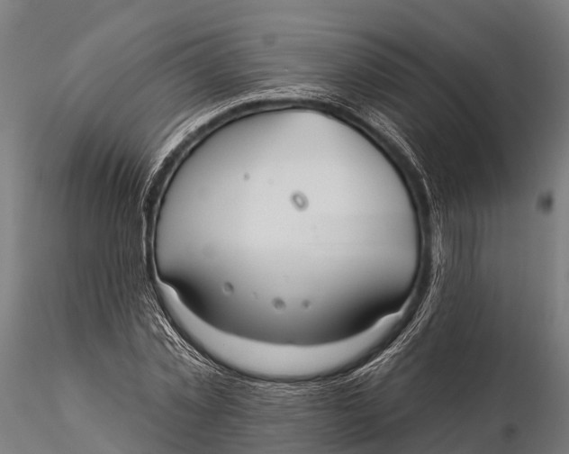 X0000115690781200912031441