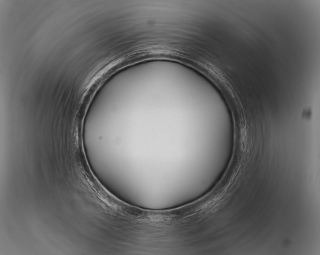 X0000115690782200912031441