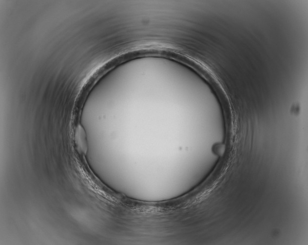 X0000115690783200912031441