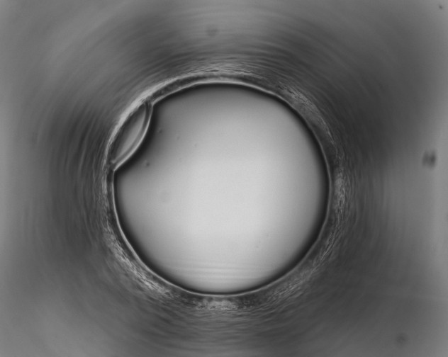 X0000115690784200912031441