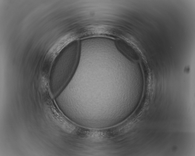 X0000115690785200912031441