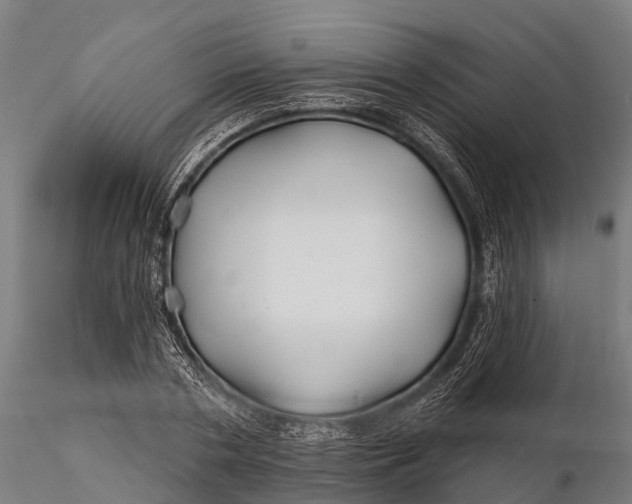 X0000115690786200912031441