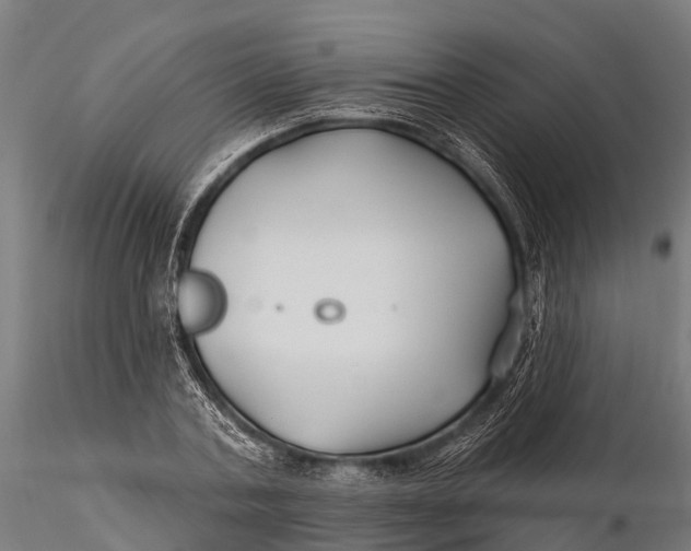 X0000115690787200912031441