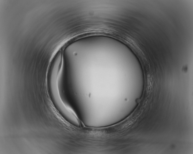 X0000115690788200912031441