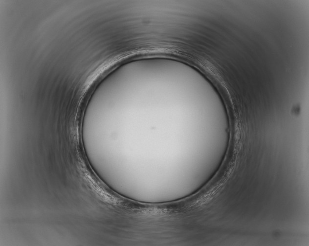 X0000115690789200912031441