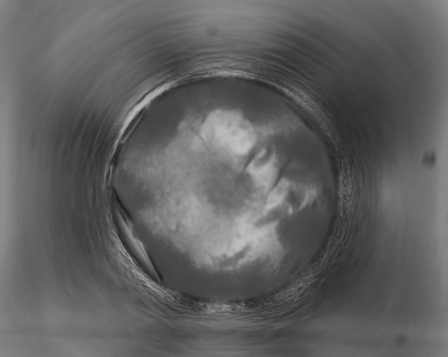 X0000115690790200912031441