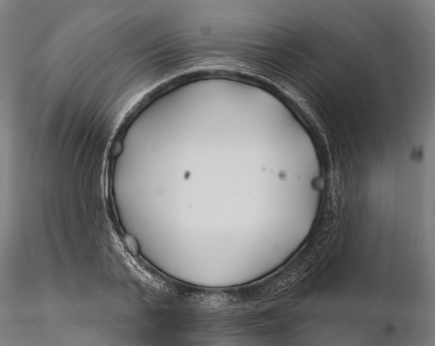 X0000115690791200912031441