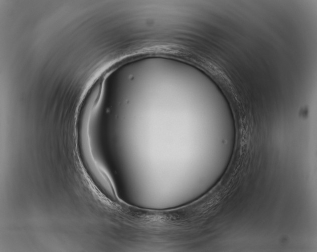 X0000115690792200912031441