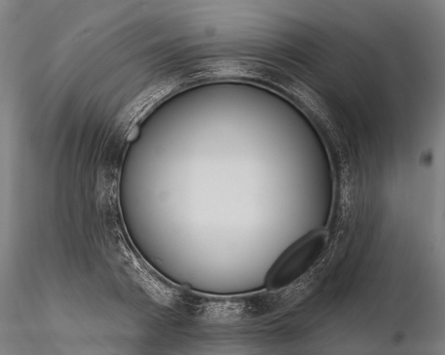 X0000115690793200912031441