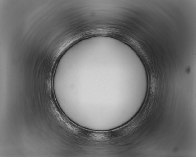 X0000115690794200912031441