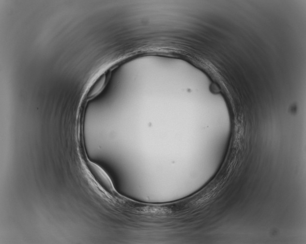 X0000115690795200912031441